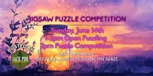 500 piece pairs Jigsaw Puzzle Competition (June 2026)