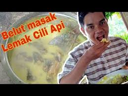 Resipi belut goreng cili kering : Cara Masak Belut Masak Lemak Cili Api Youtube