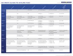 International Air Travel Baggage Allowance Court Appointed