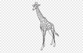 As long as you are personally organizing the activity. Giraffe Outline Template Lion Pattern Giraffe Pattern Mammal Resume Png Pngegg