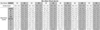 Bra Size Chart Inches Bra Size Charts Bra Sizes Size Chart