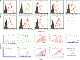 neutralization mechanism of human monoclonal antibodies