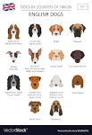 Category:Dog breeds originating in England - Wikipedia