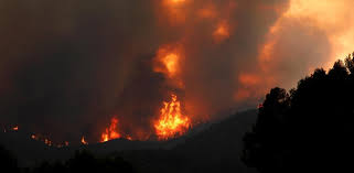 We did not find results for: Incendio Conca De Barbera Bombers Da Por Controlado El Fuego
