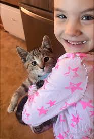 Found Cat in Charleston Area with Collar