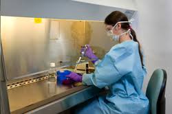 We did not find results for: Ebola Ebola Virus Disease Cdc