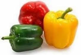 Image result for Capsicum