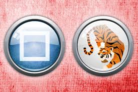 Chinese Zodiac Signs What Is A Metal Tiger And What Year Is It