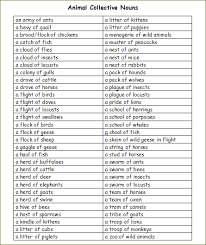 Pin On Teacher Ideas