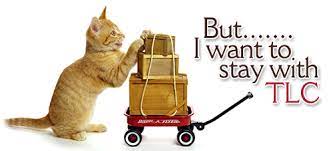 United kingdom to the united states. Professional Pet Transportation Relocation Services Tlc Pet Transport Inc