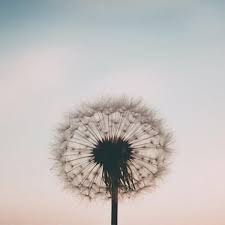The free music on this website is not a subject to any copyright issues. Free Royalty Free Meditation Music For Commercial Use