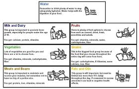 Food Guide Chart My Fridge