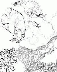 Great barrier reef, about 3 hours east of cairns. Great Barrier Reef Coloring Pages Coloring Home