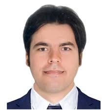 Could someone help me to identify this fungi?