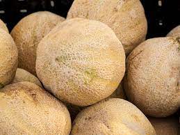 Can I Eat Cantaloupe Rock Melon During Pregnancy Is It Safe Pregnancy Food Checker