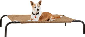 Pet Supplies Pet Food And Pet Products Petco
