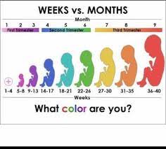 The month you are in is just an approach. How Many Months Is 16weeks Baby Center 4 Months Pregnant Months