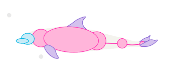 How To Draw Animals Dolphins Whales And Porpoises Animal Drawings Dolphins Whale