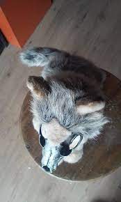 Adopt Vara The Werewolf Skull Plushie Soft Mount Stuffed Etsy Werewolf Animals Plushies