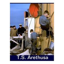 Ts Arethusa Painting The Mast Postcard Zazzle Co Uk Postcard Painting Masts