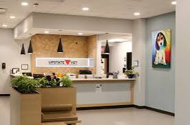 5 signs it's time for a vet visit