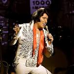 A Vision of Elvis