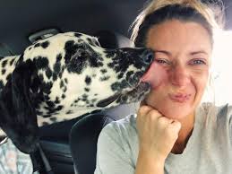 Profile for Harvey's Heroes