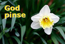 Order food online at pinse pomezia, pomezia with tripadvisor: Hvad Er Pinse Laes Om Pinsens Historie Og Betydning