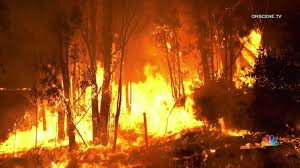 The california department of forestry and fire protection (cal fire) responds to all types of emergencies. Deadly Fires In California Have Claimed At Least 30 Lives This Year