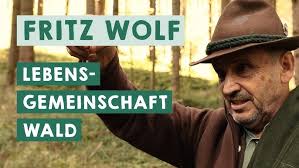 Der Wolf Spricht (Teil 4)