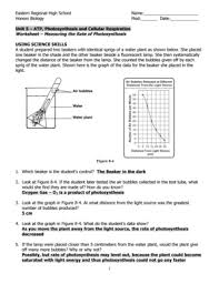 Photosynthesis Worksheet Answer Key Fill Online Printable