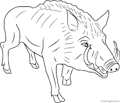 Select from 35919 printable coloring pages of cartoons, animals, nature, bible and many more. Realistic Wild Boar Coloring Page Coloringall
