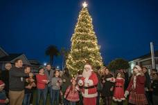 Marina Christmas Tree Lighting Celebration