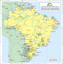 Baum, großer grüner baum, grüne baumillustration. Brasilien In Karten Ein Link Atlas