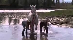 I married the boy in the loft. Heartland Teil 1 Hochzeit Von Amy Und Ty Youtube