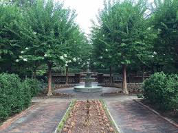 See all the english garden reviews gingerbread house florist. The Layout Was Wonderfull Review Of Sandhills Horticultural Gardens Pinehurst Nc Tripadvisor