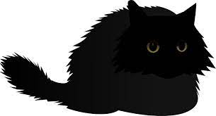 Angry Cat Angry Cat Cat Spray Cats