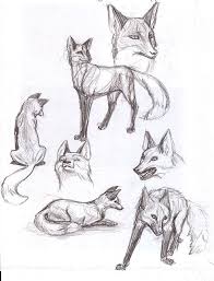 In this tutorial, you will learn how to draw a snowflake step by step, and how to use the same method to draw your own unique snowflake. 40 Free Easy Animal Sketch Drawing Information Ideas Brighter Craft