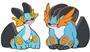 Swampert Pokemon Cute Pokemon Wallpaper Cute Pokemon