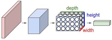 On the other hand, the height (15 cm) refers to the vertical dimension. Compsci 682 Neural Networks A Modern Introduction