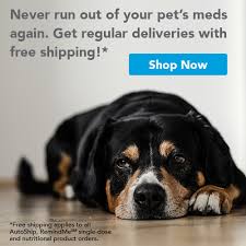 Dana park veterinary hospital redding, ca 96003. Emergencies Sonoma Veterinary Clinic Sonoma Ca