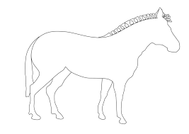 Zebra online coloring page of unique african animals. Pictures Of Zebras To Color Coloring Home