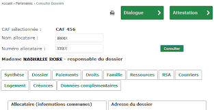 Ces derniers, appelés « services » intégrent peu à peu l'espace sécurisé unique nommé mon compte partenaire. Https Www Caf Fr Sites Default Files Caf 141 Caf Fr Partenaires Virginie Valin 2021 Guide 20utilisateur 20cdap Pdf
