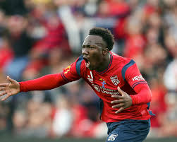 Image result for Nesaea rautanenii