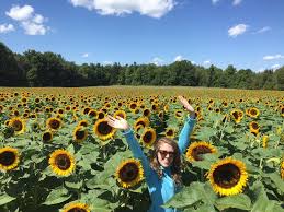 This video is an introduction to picking your own wedding flowers at blooming green. Sunflower Fields And Mazes In Ontario For A Day Trip To Do Canada
