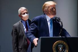 Anthony fauci has just performed a legendary feet for politicos and public servants in washington: Peter Navarro Attacks Anthony Fauci In Usa Today Op Ed The New York Times