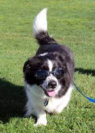 Pin Von Bonnie Arjona Auf All About Animals