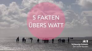 Damit wird das wattenmeer des nördlichsten bundeslandes zum nationalpark. 5 Fakten Uber Den Nationalpark Wattenmeer Schleswig Holstein Youtube