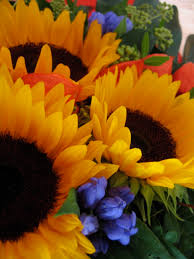 Gigantesco mazzi di fiori : File Mazzo Di Fiori Jpg Wikipedia