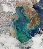 Image result for Yellow Sea